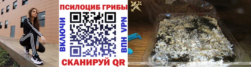KRAKEN зеркало  цены   Ртищево  Псилоцибиновые грибы мухоморы 